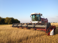 Crop Production